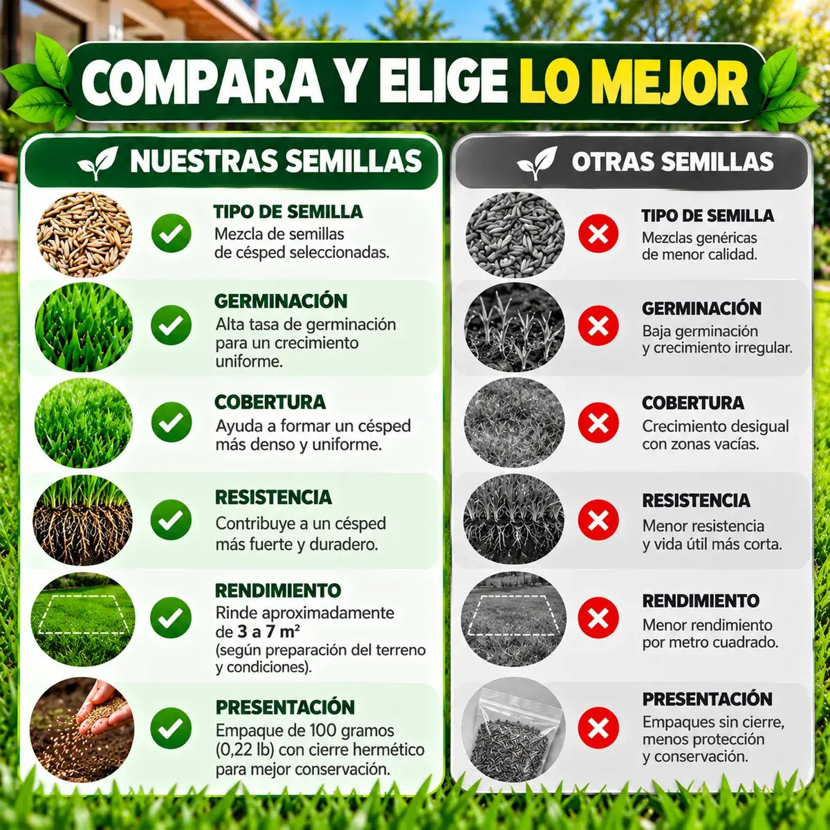 2x1 Semillas de Césped | Cubre Áreas Vacías y Dale Vida a tu Jardín